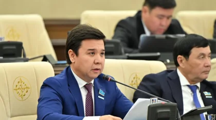 Түркістан өңірін шыбын-шіркей жайлады: депутат бақылауға алатынын айтты