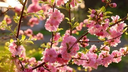 Еліміз бойынша бүгінгі күнге арналған ауа райы болжамы