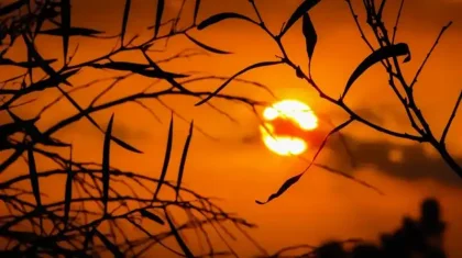 44 градусқа дейін күн ысып, бұршақ жауады: алдағы үш күнге ауа райы болжамы