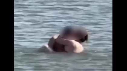 Порно анальды концертті қараңыз