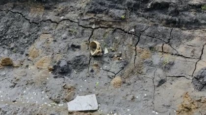 Петропавлда адамның бас сүйектері табылды