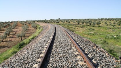 Пойызда босанып, нәрестесін унитазға тастаған қарағандылық жазасыз қалды