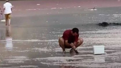 Ақмола облысында Көбейтұз көлін тағы да вандалдар бүлдіріп жатыр