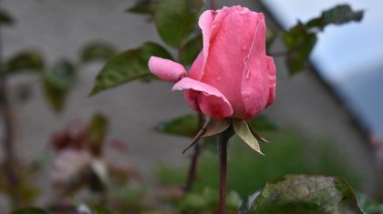 Бүгін еліміз бойынша дауылды ескерту жарияланды
