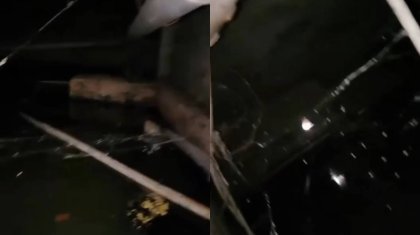 Қызылордада тұрғындар жертөледегі сасық иіс пен суға тұншығып отыр: «Орда сервис» неге әрекетсіз?