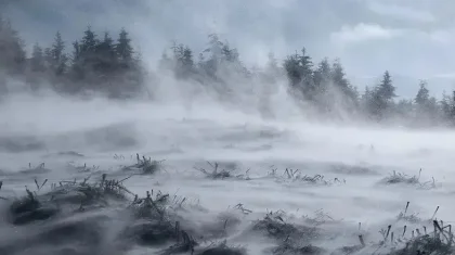 Тұман, көктайғақ: 14 өңірде ауа райына байланысты ескерту жарияланды