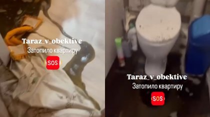 Тараздағы көпқабатты үйді су басты: тұрғындар ТЭЦ пен мердігерді кінәлауда (ВИДЕО)