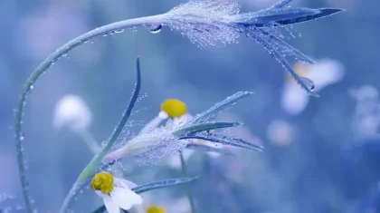 Қазақстанның бірнеше облысында қатты жел мен үсік, төтенше өрт қаупі күтіледі