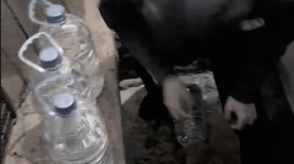 Қарағандыда «Дала Қырандары» заңсыз алкоголь саудасына қарсы рейд өткізді