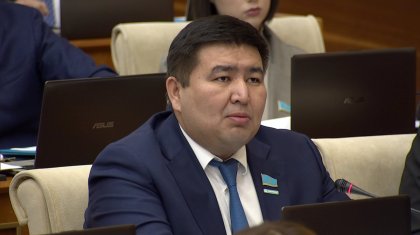 Халық кредитке тұншықты, ал банктер миллиардтап пайда табуда – депутат