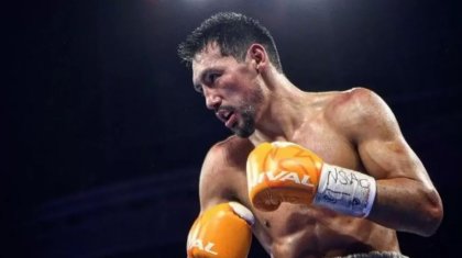 Шетелдік автор Жәнібек Әлімханұлына күмән келтірді