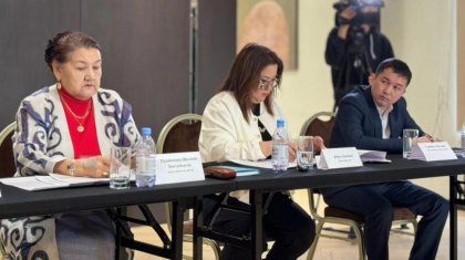 «Арсыз дүниелердің ықпалына қарсымыз»: Алматыда ЛГБТ насихатына қарсы заң талқыланды