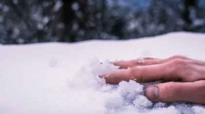 Ақмола облысында ер адам өз ауласынан өлі табылды