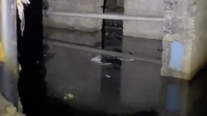 Семейде қаңтар айынан бері ірің басқан жертөлелер: әкімдік үш апта бойы мәселені шеше алмады