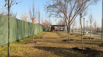 «Таза Қазақстан»: Алматының Жетісу ауданында Сейфуллин–Жансүгіров жолайырығын көгалдандыру жалғасып жатыр