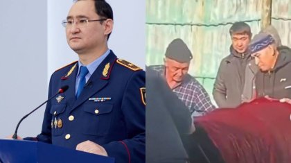 «Әкесі туған қызын пышақтап өлтірген»: Вице-министр іске қатысты мәлімдеме жасады