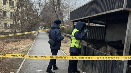 Түркістан облысында қоқыс контейнерінен нәрестенің денесі табылды