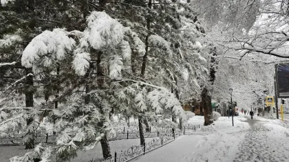 Қатты аяз, боран: Синоптиктер бейсенбіге арналған болжам жасады