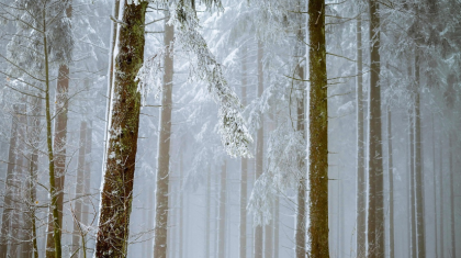 Демалыс күні ауа райы қалай құбылады