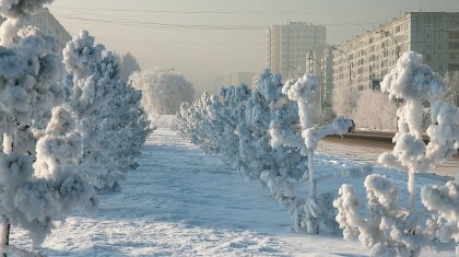 Боран мен қатты аяз: синоптиктер 19 қаңтарға арналған ауа райына болжам ұсынды