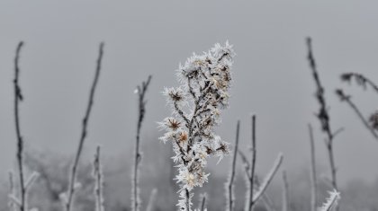 Тұман түсіп, жел екпіні күшейеді: 28 қаңтарға ауа райы болжамы
