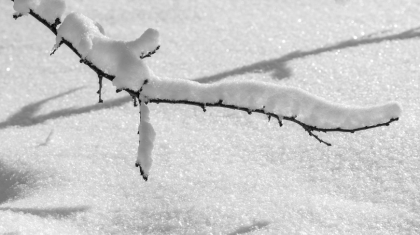 Қар, көктайғақ: Елдің басым бөлігінде қолайсыз ауа райына байланысты ескерту жасалды