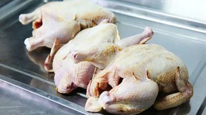 «Ұлдардың кеудесі өсіп, қыздар ерте жетіледі»: маман тауық етінің зиянын айтып дабыл көтерді