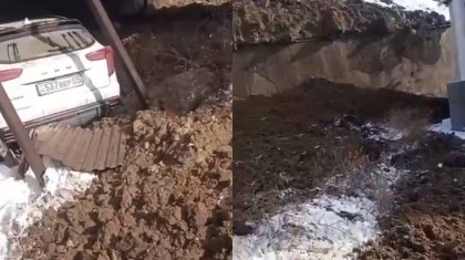 Алматы облысында лай көшкіні үй ауласына құлап, көлікті басып қалды