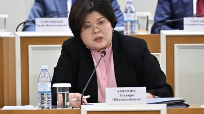 Конституция жобасына қатысты азаматтардан 5 мыңға жуық өтініш түсті – Эльвира Әзімова
