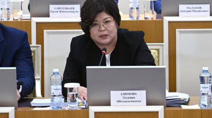 Жаңа Конституция жобасында азаматтық құқықтар күшейтілді – Эльвира Әзімова
