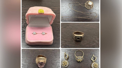 Түркістан облысында немересі әжесін тонап кеткен