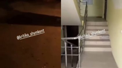 Жертөлені су басқан: Шымкентте ипотекаға алынған жаңа үйлер жарамсыз күйге түсті