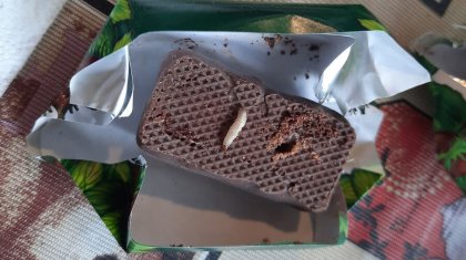 «Денсаулығына зиян тигізген»: Қостанайда дүкеннен сатып алған кәмпиттің ішінен құрт-құмырсқа шыққан