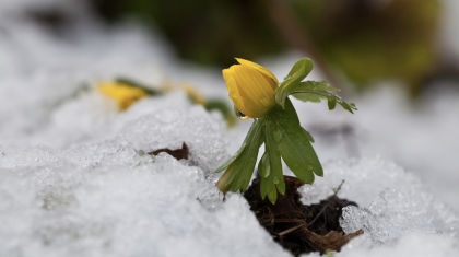 «Көктайғақ, тұман, боран»: Қазақстанның басым бөлігінде дауылды ескерту жарияланды