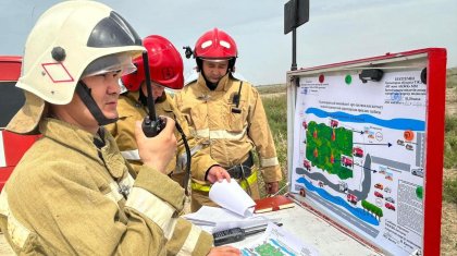 Орман мен дала өрттері: Қазақстанда алдын алу шаралары күшейтілді