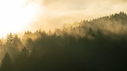 Жаңбыр, найғазай, көктайғақ: Бірқатар өңірде ауа райына байланысты ескерту жасалды