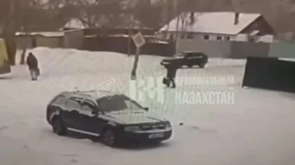 Қарағандыда әйелдің үстіне жарық бағаны құлап, көз жұмды (ВИДЕО)