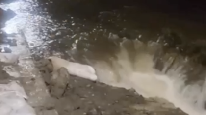 Қарағанды–Теміртау тасжолын су басуы мүмкін