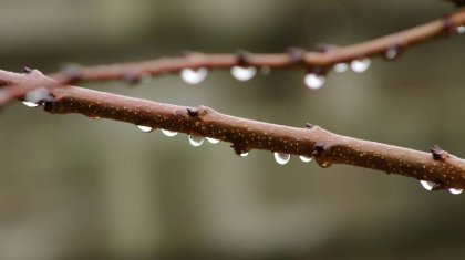 Жауын-шашын күтіледі: Бүгін бірнеше өңірде қолайсыз ауа райы болмақ