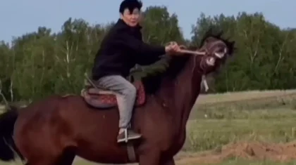 «Өкше сүйегі шытынап кеткен»: Қыдырәлі Болманов аттан оңбай құлады