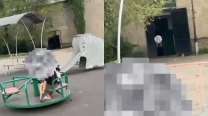 Семейде ер адам аулада балаларға қарап тұрып ұятсыз әрекет жасаған (ВИДЕО)