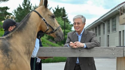 Ақниет және Бөрте: Тоқаев асыл тұқымды құлындарға есім берді