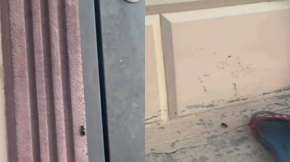 «Атырауды қарақұрт жаулады»: Әкімдік халықты улы жәндікпен бетпе-бет қалдырды ма?