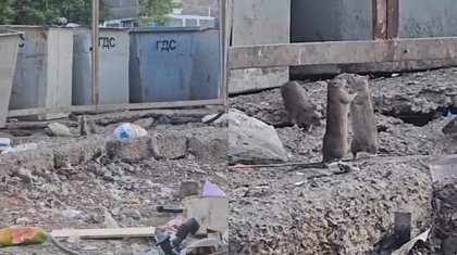 Теміртауды тышқан басты: Тұрғындар ақша төлеген мердігерлер қайда қарап отыр?