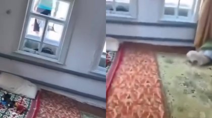 Қостанайда келіншек қайын әпкелерінен зорлық көргенін айтып, полицияға арызданды