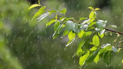 Алдағы күндері еліміздің бірқатар өңірінде қар жауады