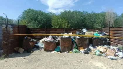 Жамбылда жаңа туған сәбиін қоқысқа тастап кеткен әйел ұсталды