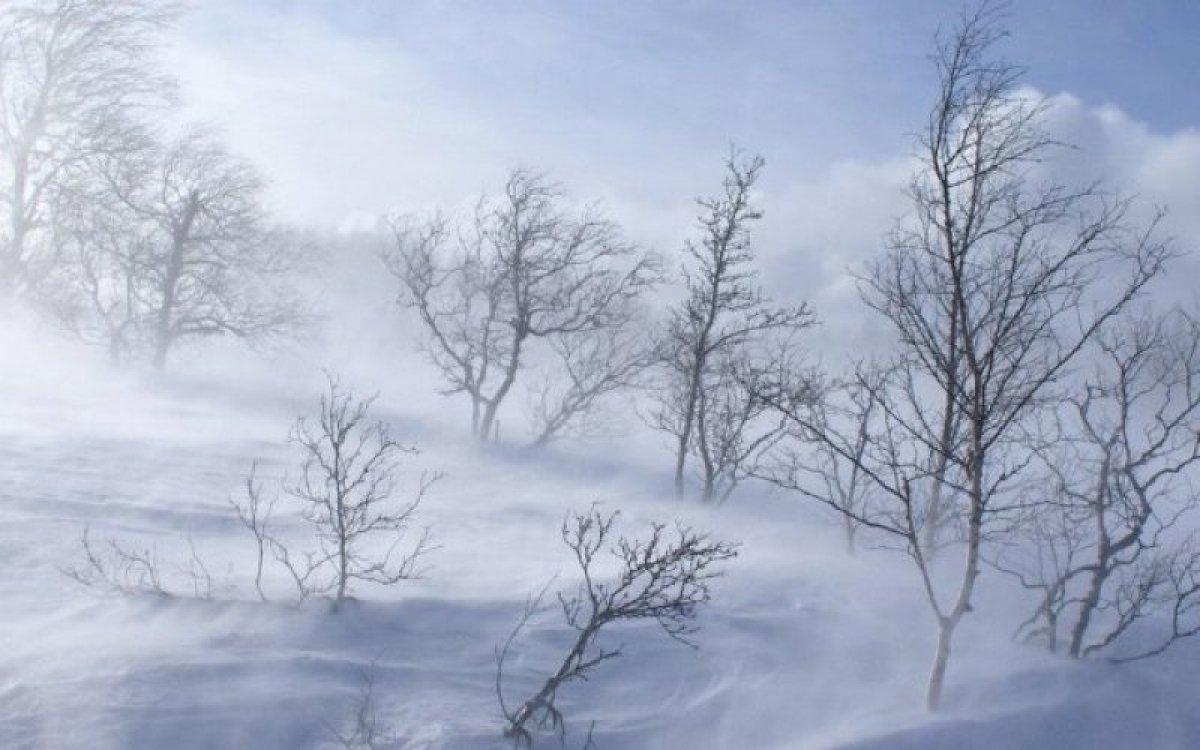 Прогноз погоды в Казахстане на 20 февраля