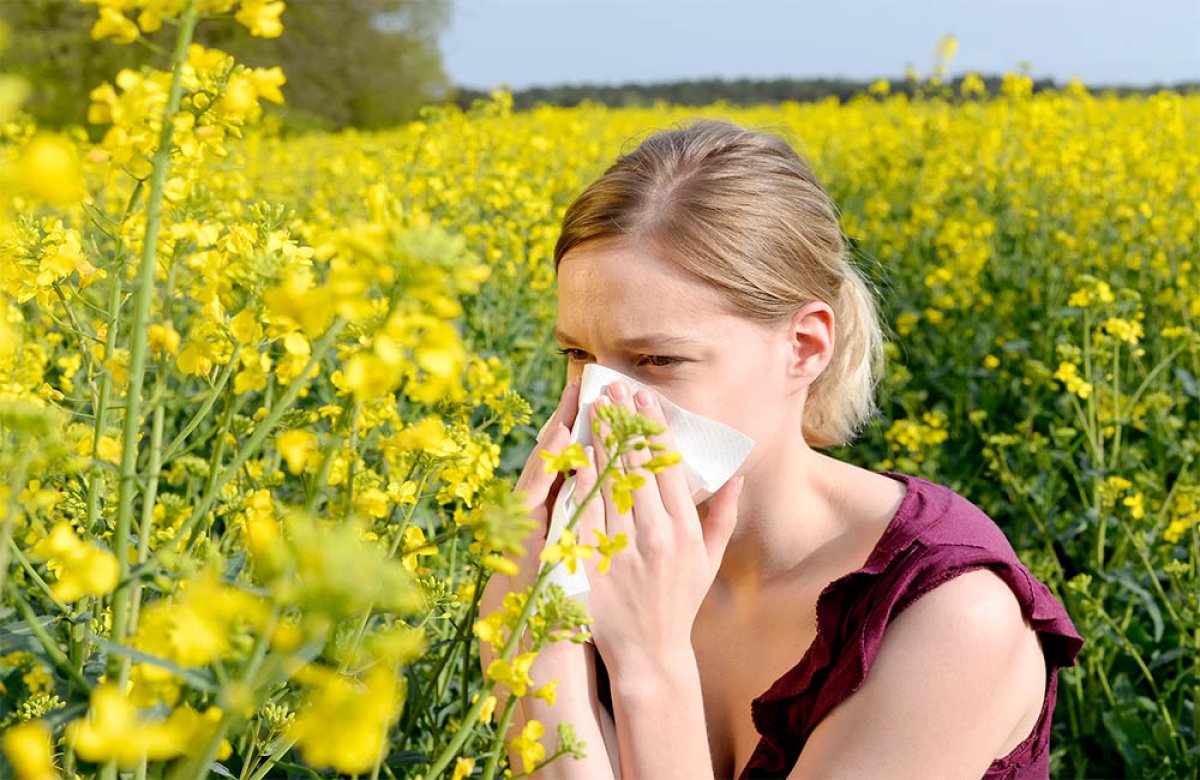 Фото: https://www.gaastars.com/how-to-cope-with-hay-fever/