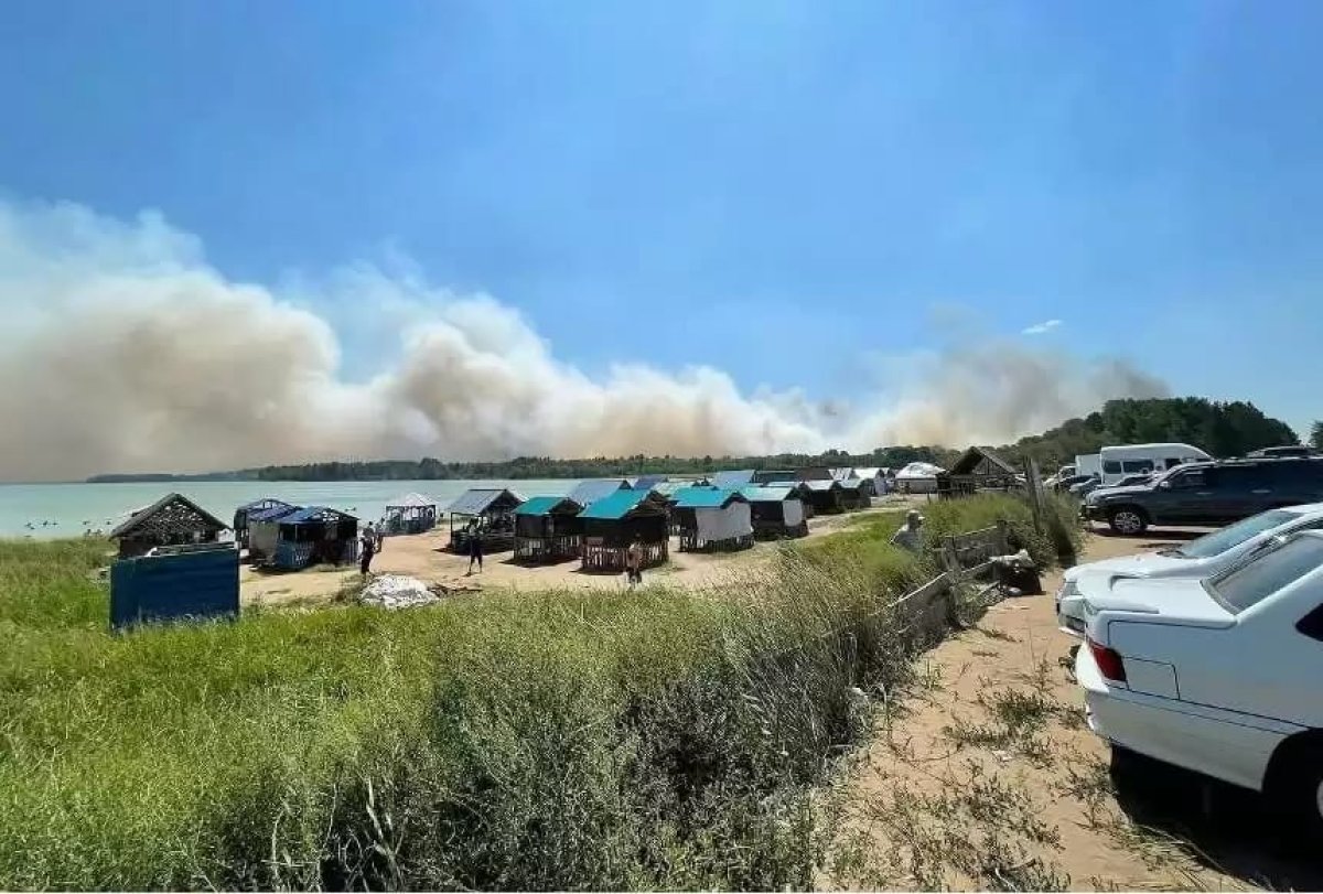 Фото: Абай облысы Бесқарағай ауданы әкімдігінің баспасөз қызметі